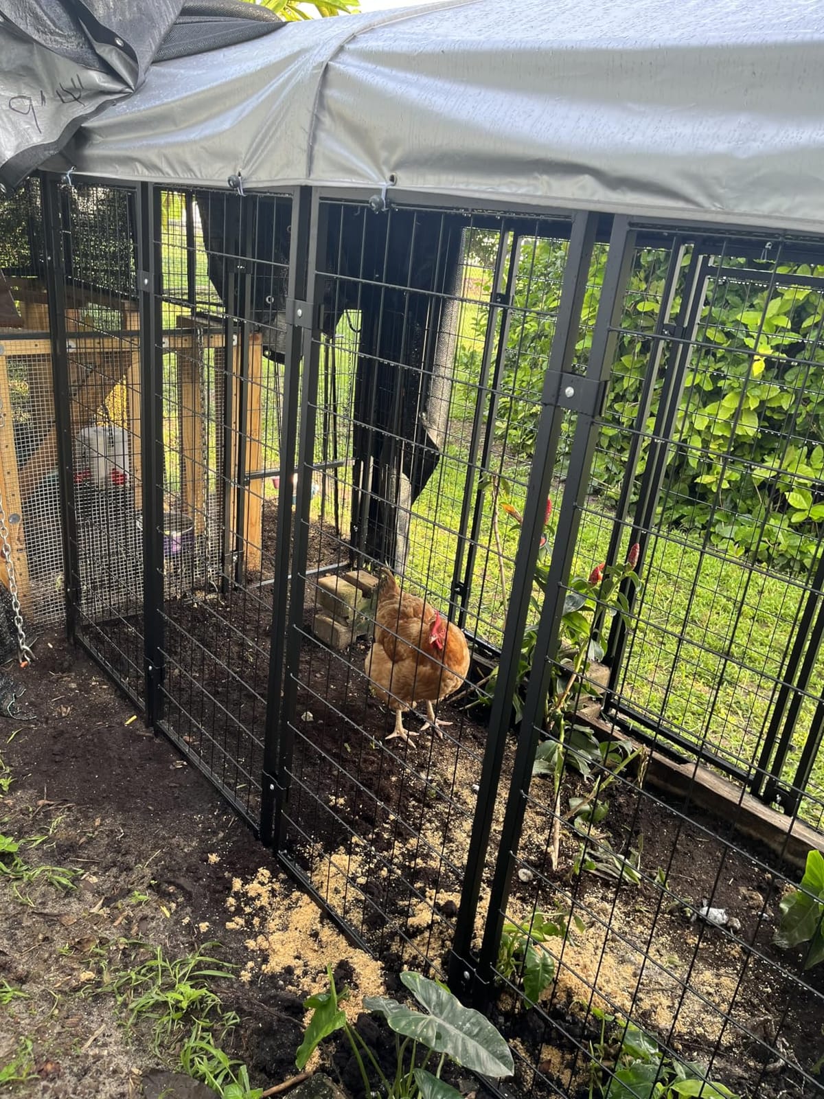 Dog Kennel Outdoor, Large Outside Dog Kennel with Roof & Swivel Feeders/Removable Doggy Door Allow Connecting Your Dog House, Heavy Duty Dog Run Pen for Medium/Large Dogs (8'L x 4'W x 6'H) customer photo 2