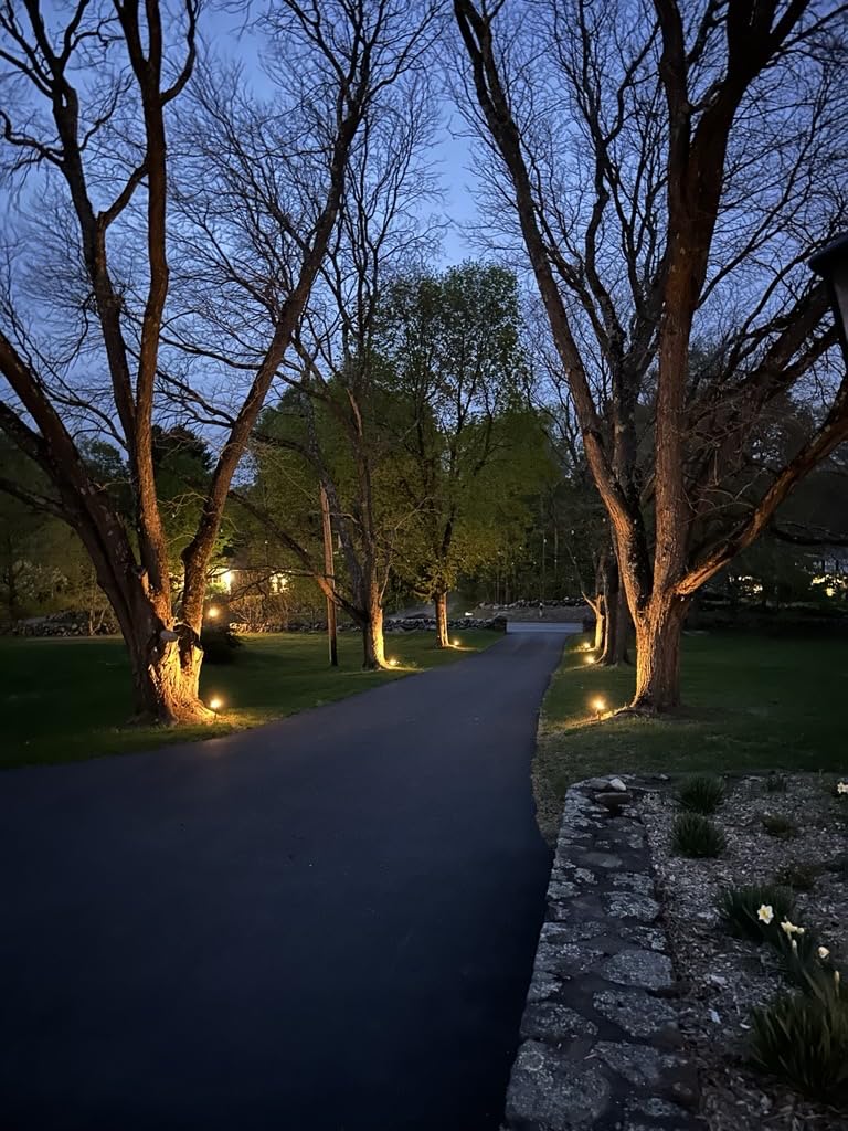 Linkind Smart Solar Spot Lights Outdoor SL5C, IP67 Solar Lights Outdoor | Cool/Warm White/Color Changing Spotlight, APP/Voice Control,Landscape Lighting for Yard, Garden, Pathway(2 Pack) customer photo 1