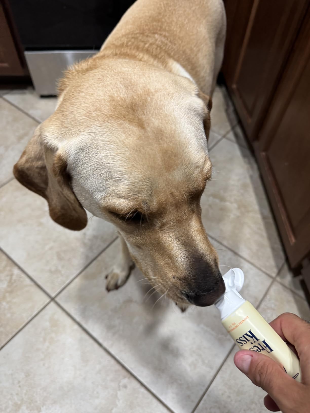 FlyDog Fresh Kiss Dog Tooth Brushing Kit - Vet Approved Formula, Enzymatic Dog Toothpaste and Brush - Breath Freshener & Tartar Remover, 360° Toothbrush & Finger Brush, Dental Guide, Peanut Butter customer photo 2