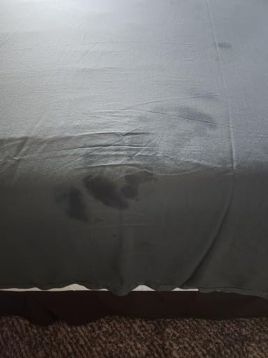 Cariloha Aloha Soft Bamboo Viscose Sheet Set - Natural - King customer photo 2