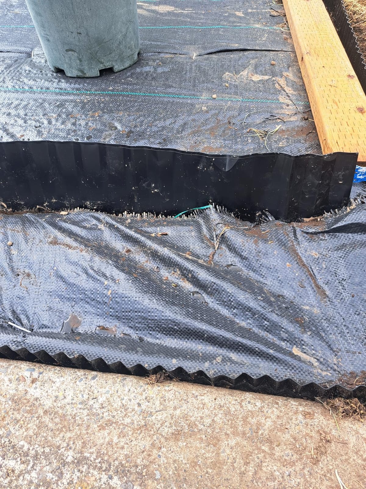 Land Guard Corrugated Garden Edging Border, 6