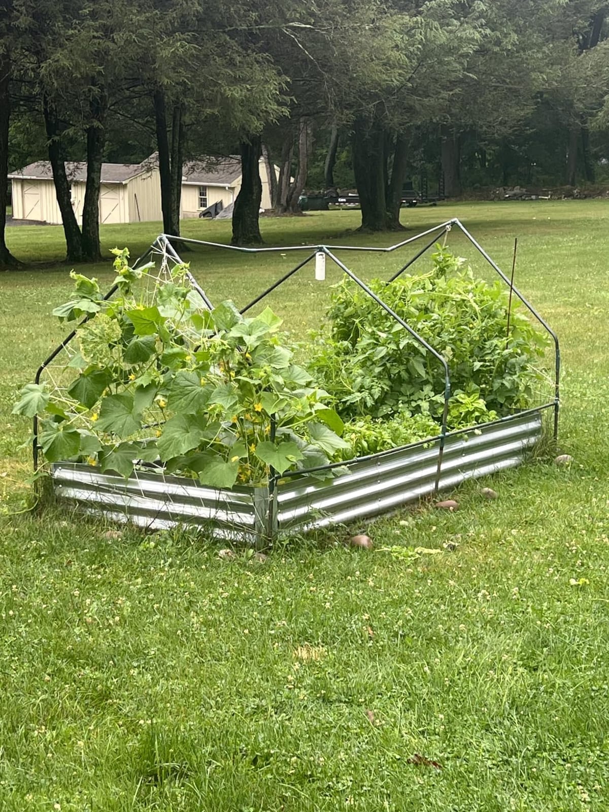 Ohuhu 4x2x1 FT Raised Garden Bed Outdoor with Cover, 3-in-1 Gardening Set customer photo 2