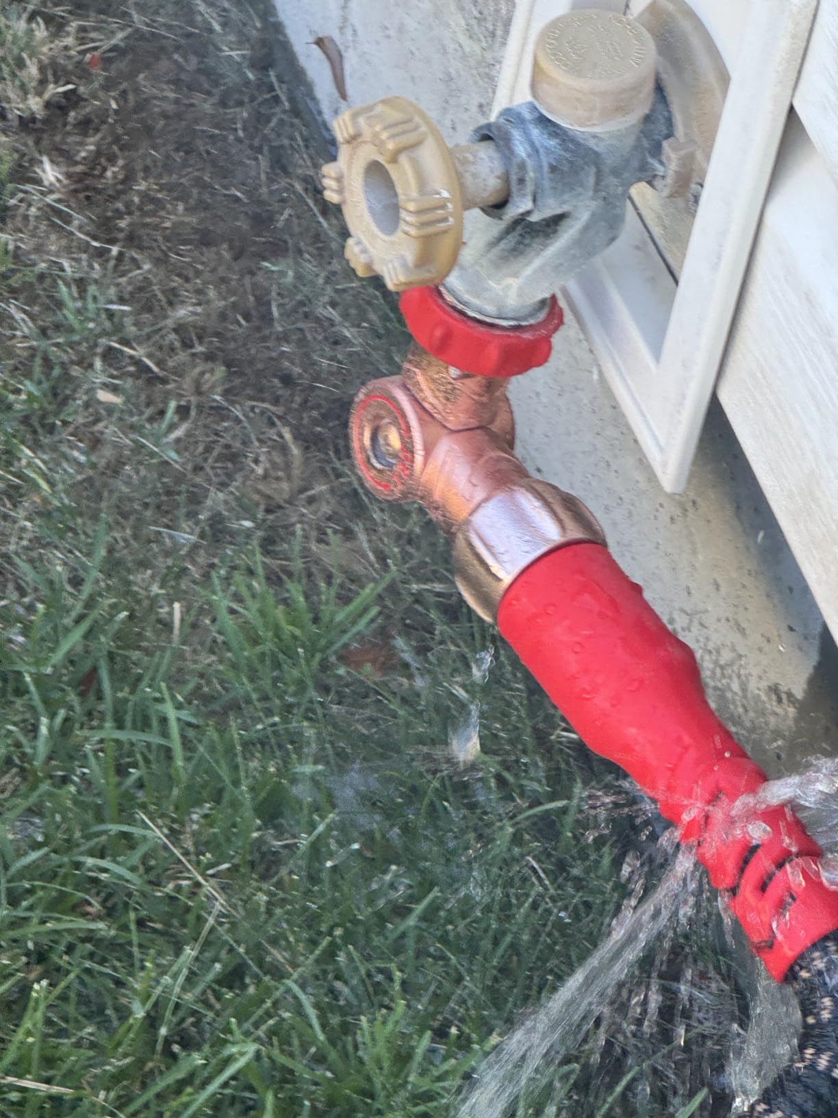 Pocket Hose 50 FT Copper Head Expandable Garden Hose, As Seen on TV customer photo 2