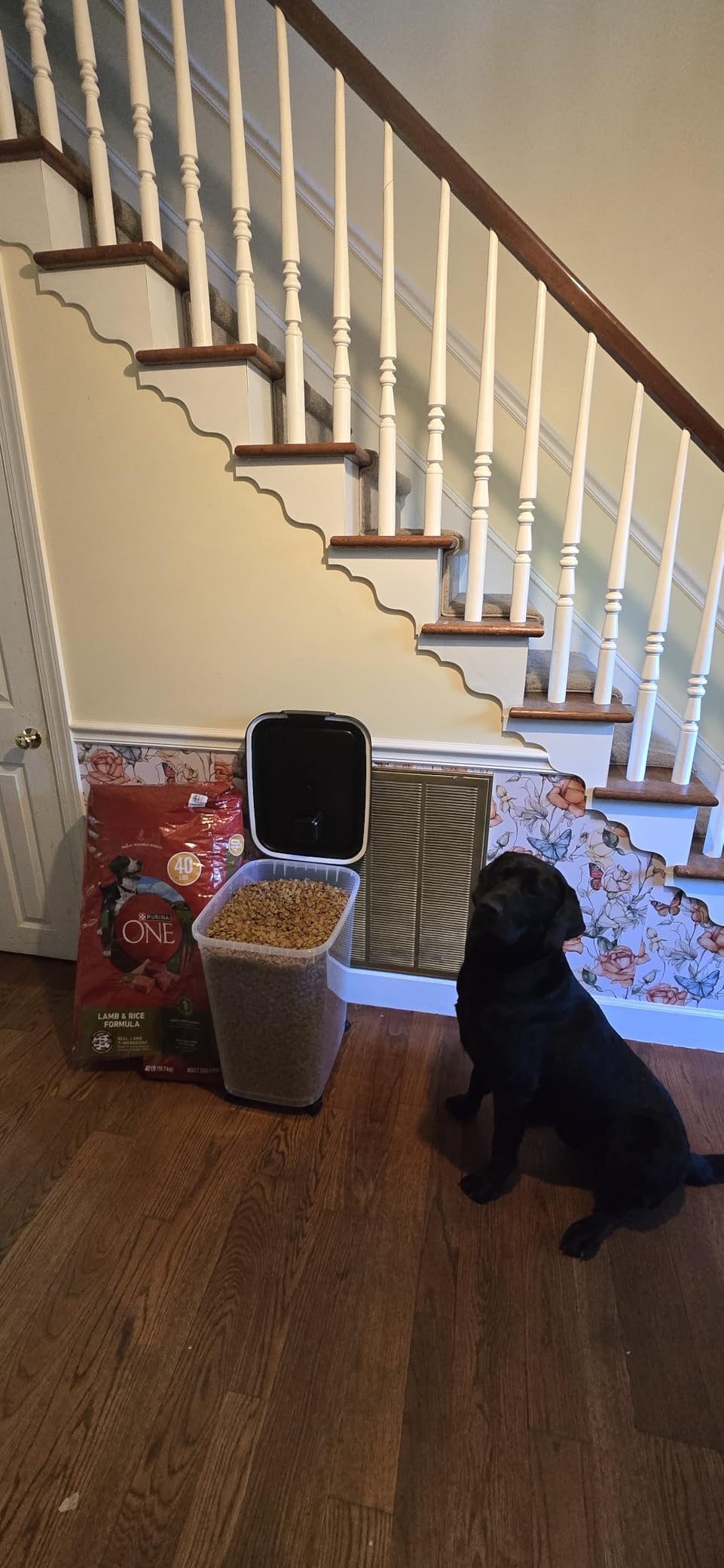 Amazon Basics Pet Food Storage Container with Rolling Wheels, BPA-Free, Detachable Scoop, 50lbs Capacity customer photo 1