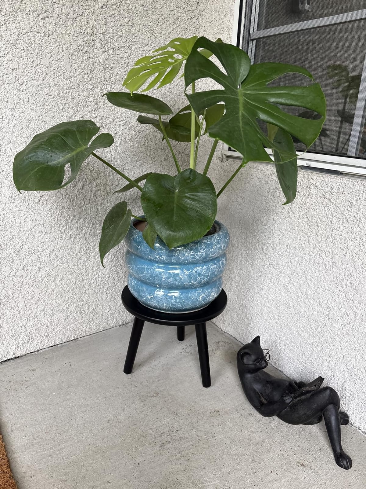 SQOWL Ceramic Plant Pot Indoor with Drainage Hole 13.5 Inch - Large Outdoor Planter Ceramic Flower Pot Modern Round Planter Decorative Plant Pot for Outdoor Porch Decor Blue customer photo 2