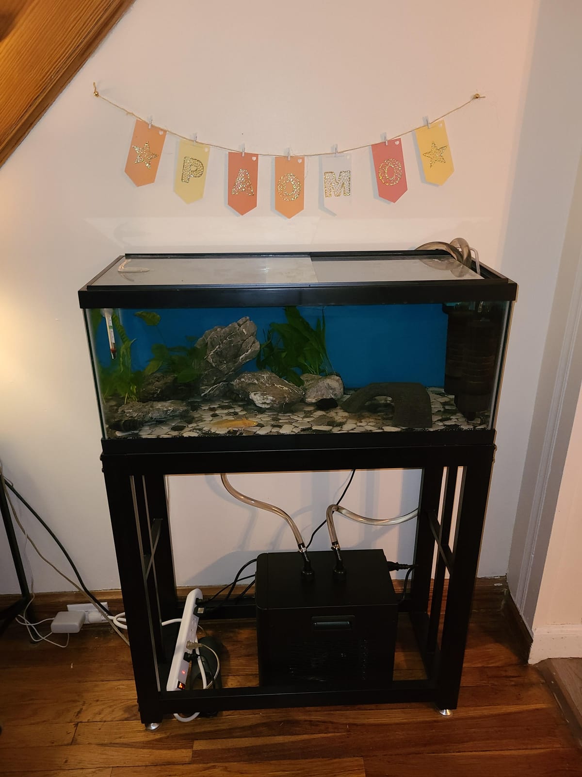 BAOSHISHAN 1/13 HP Aquarium Chiller 26 Gallon Fish Tank Water Chiller customer photo 1