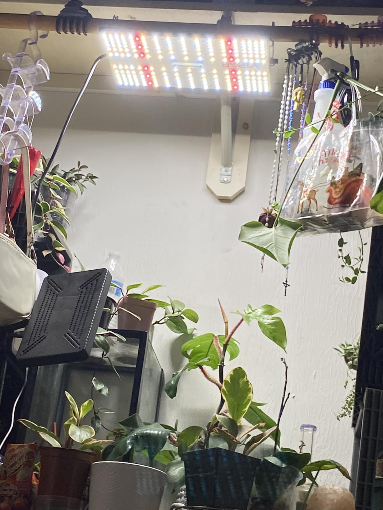 70 Watt Grow Light, Dimmable Plant Light, LED Grow Lights for Indoor Plants customer photo 1
