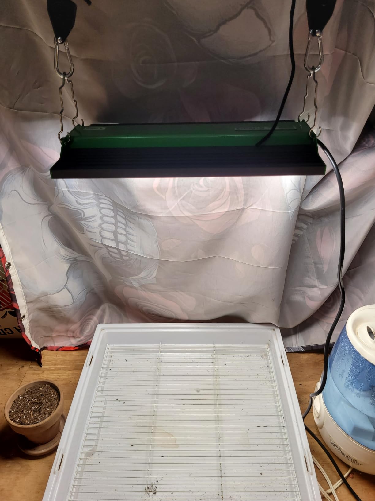 70 Watt Grow Light, Dimmable Plant Light, LED Grow Lights for Indoor Plants customer photo 2