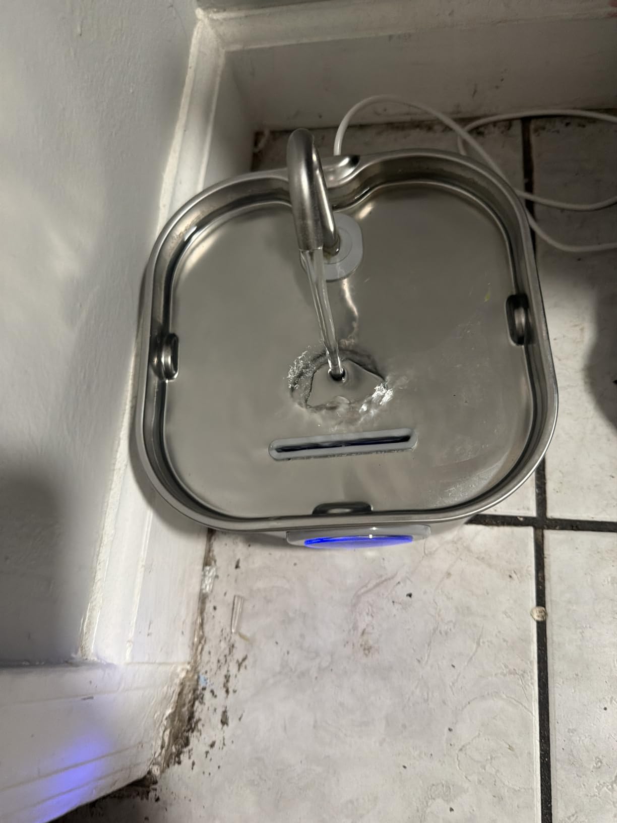 Cat Water Fountain Stainless Steel: Pet Fountains for Cats/Dog Indoor Automatic Waterer Bowls for Drinking Small Animal Water Dispenser Metal Pets Watering Faucet Bottle Auto Kitty Watering Supplies customer photo 1