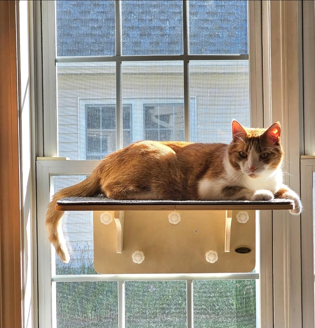 Pecute 2-in-1 Cat Window Perch & Wall Shelves, Cat Hammock Window 16