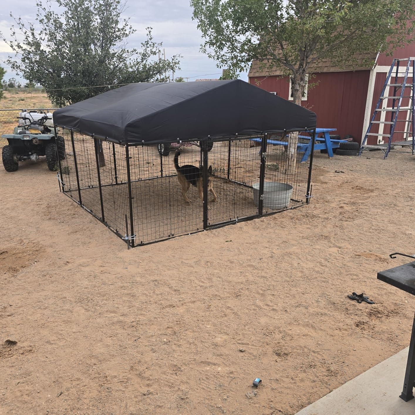 Petony Large Outdoor Dog Enclosure,Heavy Duty Dog Cage with Roof,Galvanized Steel Dog Kennel Fence with Double Safety Locks(79”W x 79”D) customer photo 2