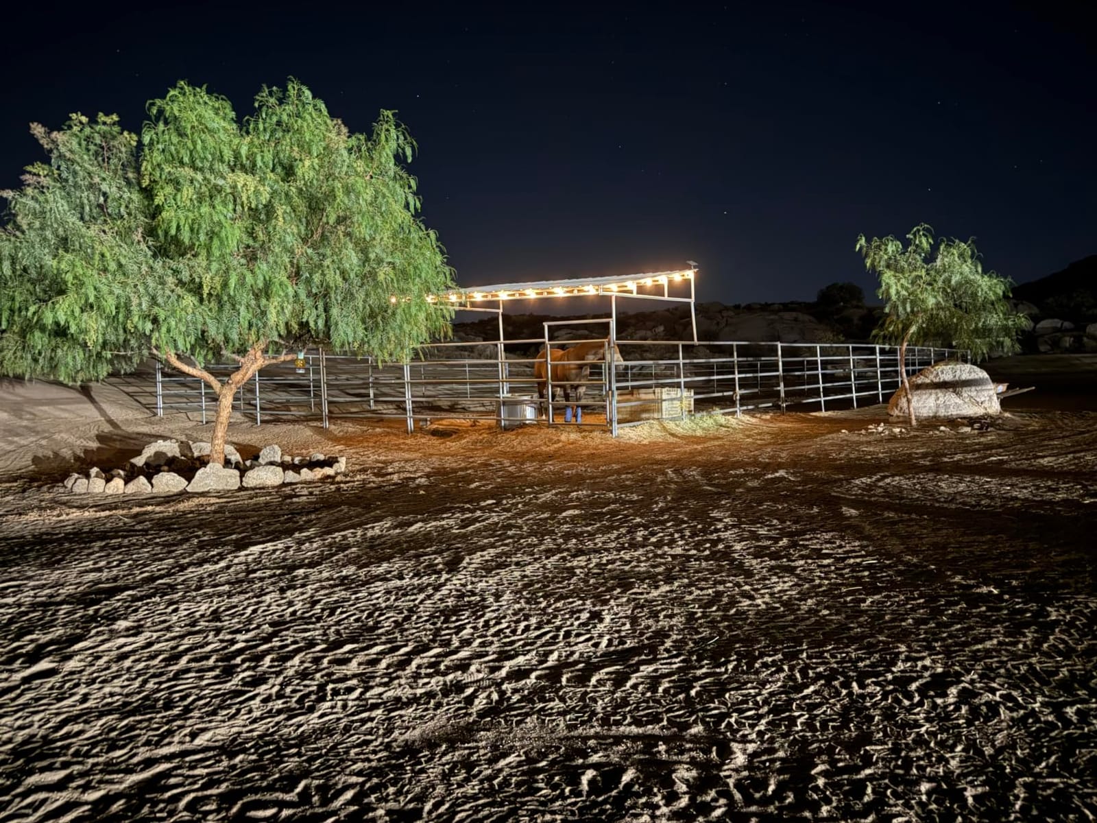 Brightown 108FT 52LED Solar String Lights Outdoor with Remote & USB Port customer photo 2