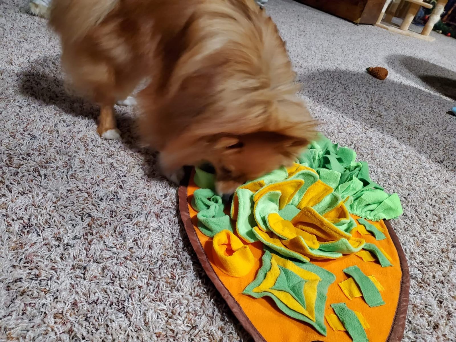 AWOOF Snuffle Mat for Dogs,19