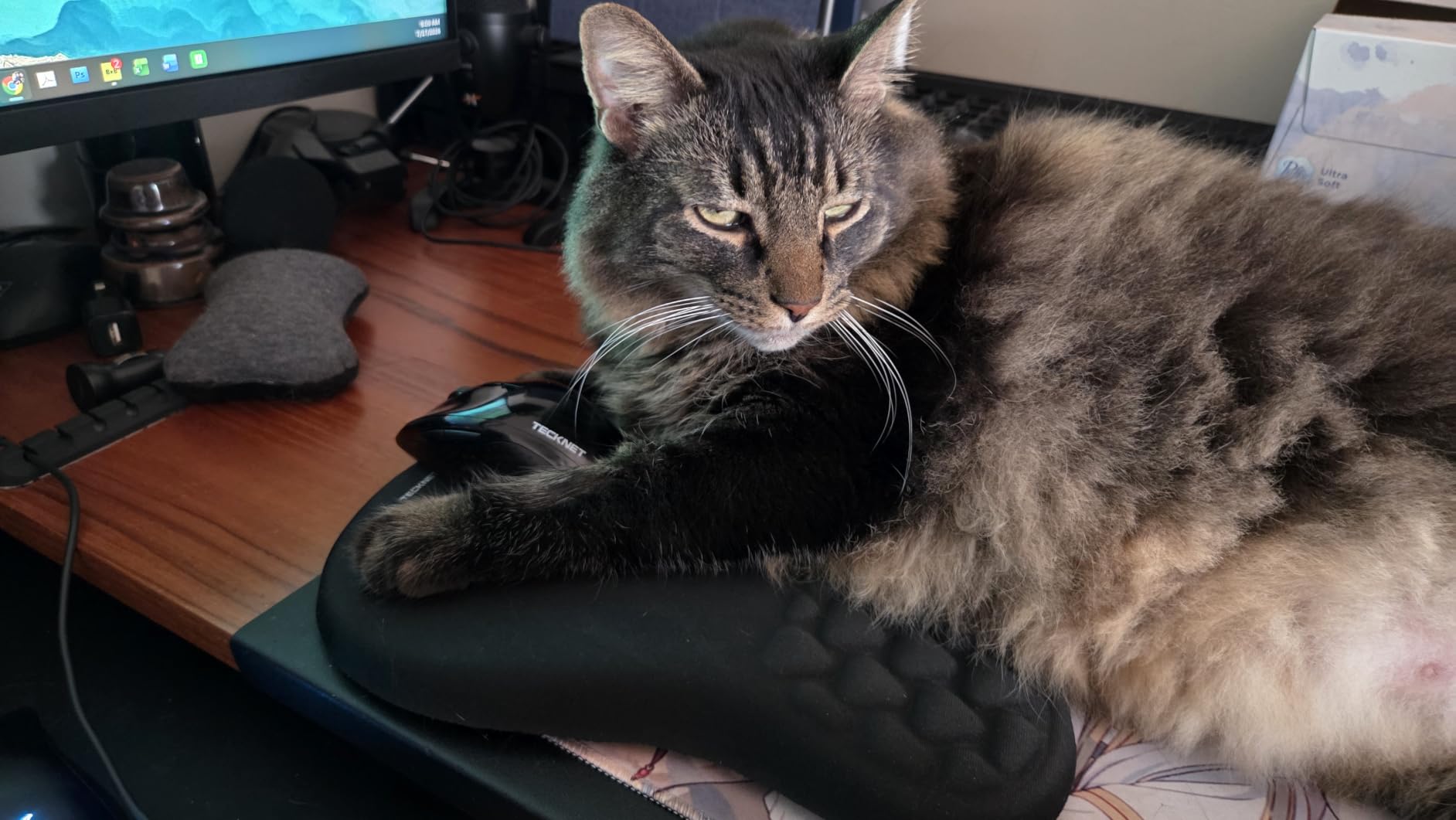 TECKNET Ergonomic Mouse Pad with Wrist Rest,Soft Comfortable Massage Design customer photo 1