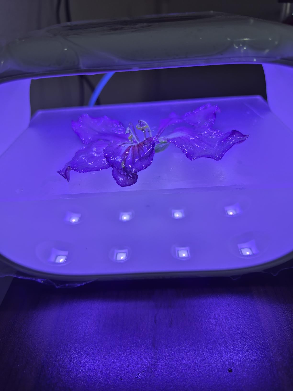 HeyClear UV Light for Resin Curing with Mat, Double-Sided Large UV Lamp Kit customer photo 2