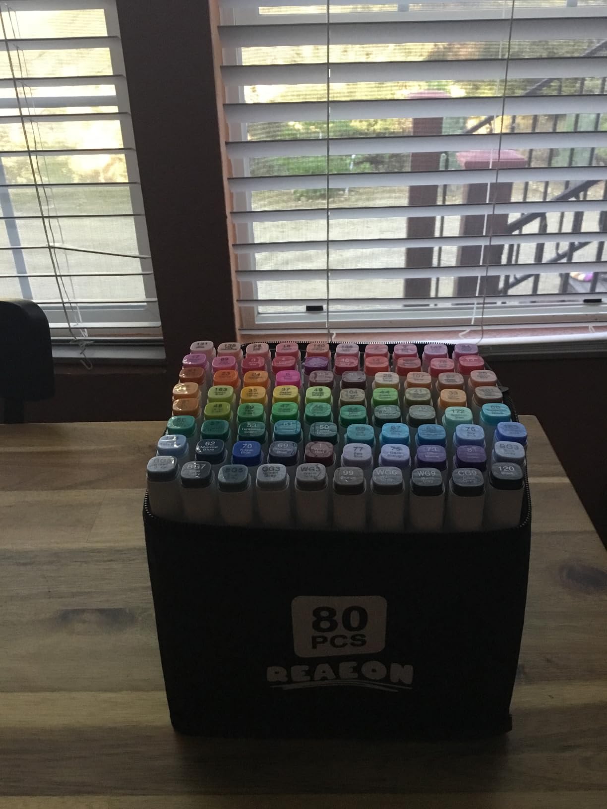 Reaeon Alcohol Art Markers, 80 Colors Fine & Chisel Dual Tip Marker Set, Permanent Art Markers for Adults Sketching Painting Drawing and Coloring(White Barrel) customer photo 2