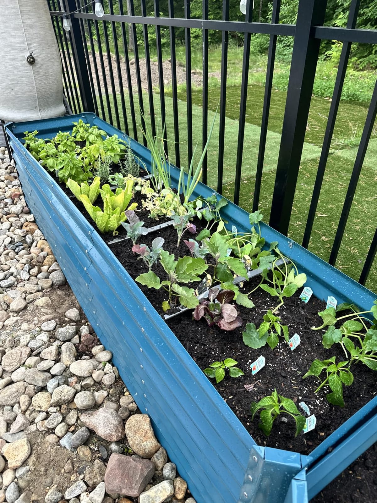 Best Choice Products 8x4x2ft Outdoor Metal Raised Garden Bed, Deep Root Planter Box for Vegetables, Herbs & Flowers, 478-Gallon Capacity, 100% Non Toxic Materials - Galvanized customer photo 1