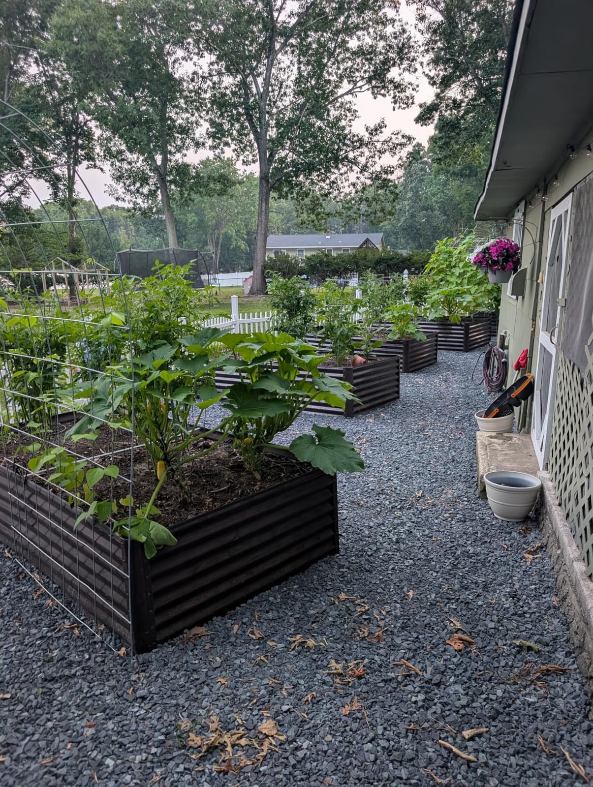 Best Choice Products 8x4x2ft Outdoor Metal Raised Garden Bed, Deep Root Planter Box for Vegetables, Herbs & Flowers, 478-Gallon Capacity, 100% Non Toxic Materials - Galvanized customer photo 2