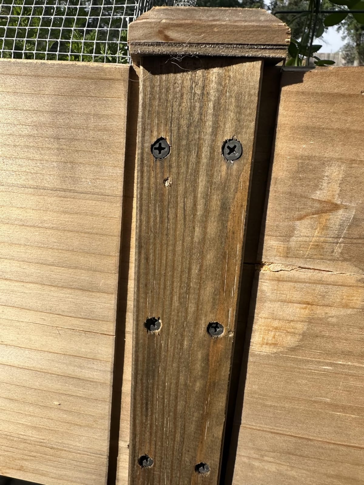 Cedar Raised Garden Bed with Legs, Outdoor Planter Box 72x23x30, 300lb customer photo 2
