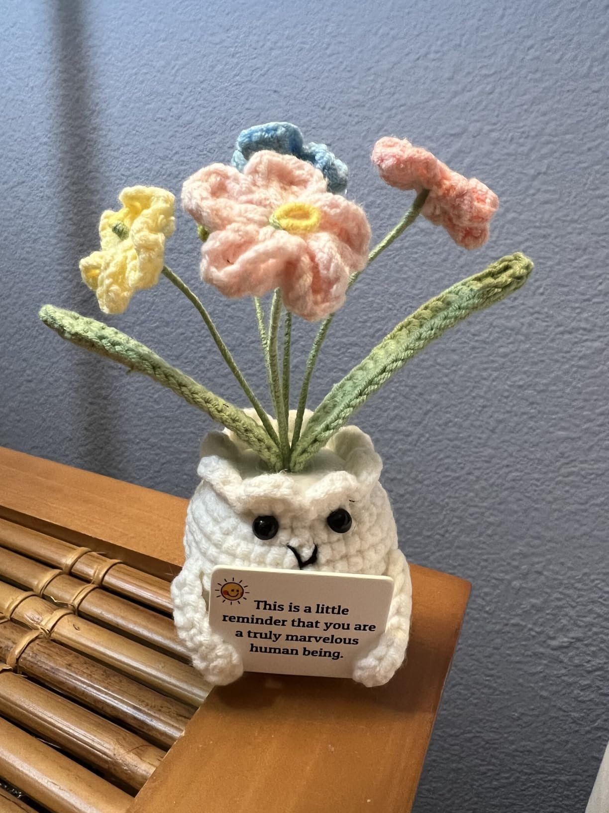 Forget-Me-Not Crochet Flower Potted Plant Gift customer photo 1