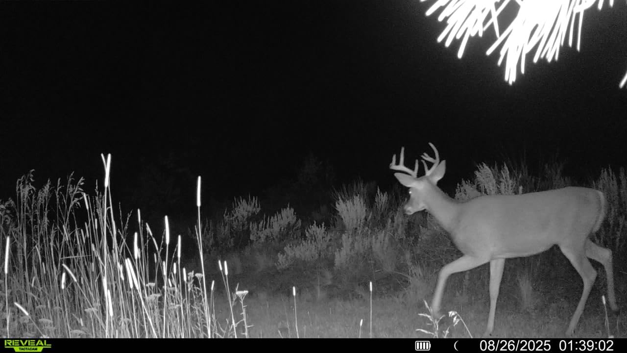 TACTACAM Reveal Ultra Cellular Trail Camera: 4K Photo, 1080p Video, Live View, GPS Tracking-Enabled, Switchable No-Glow/Low-Glow Flash, LTE Connectivity, LCD Screen - Best Hunting, Game Camera customer photo 1