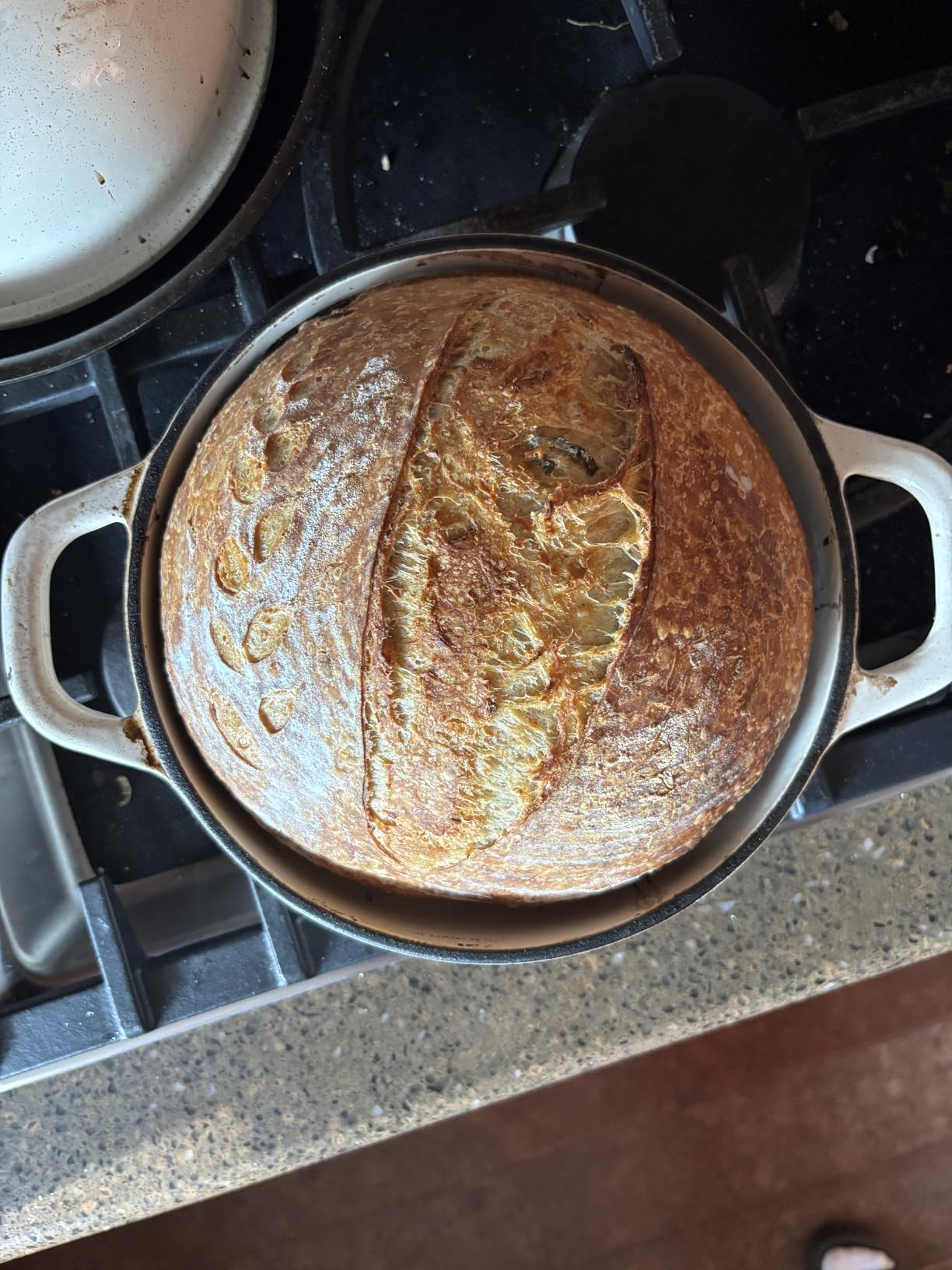 5QT Enameled Cast Iron Sourdough Bread Oven for Homemade, Blue customer photo 2