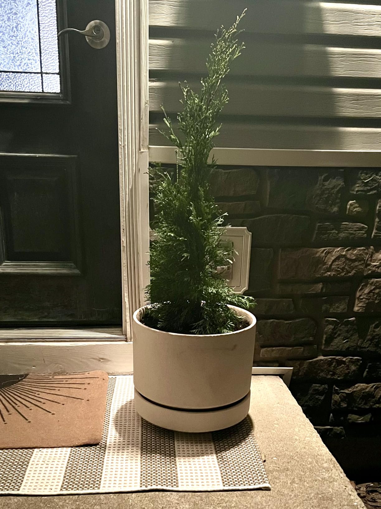 LE TAUCI Large 14 Inch Plant Pot with Saucer | Ceramic Outdoor & Indoor Big Planter Pot | Drainage Hole, Mesh Pad | Unglazed Porous | Modern Minimalist for Home and Patio – Speckled Oat customer photo 2