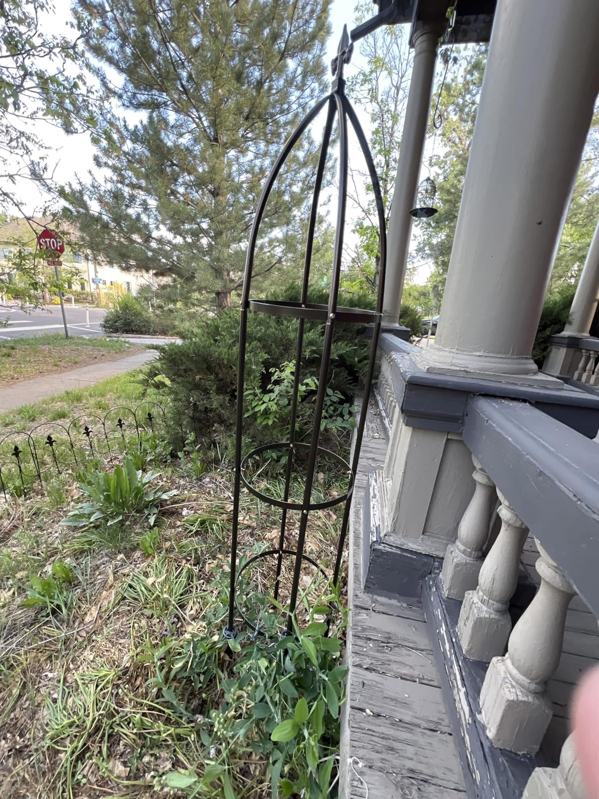 Garden Obelisk Trellis 100% Metal Heavy Duty 5.5 ft for Climbing Vines customer photo 1