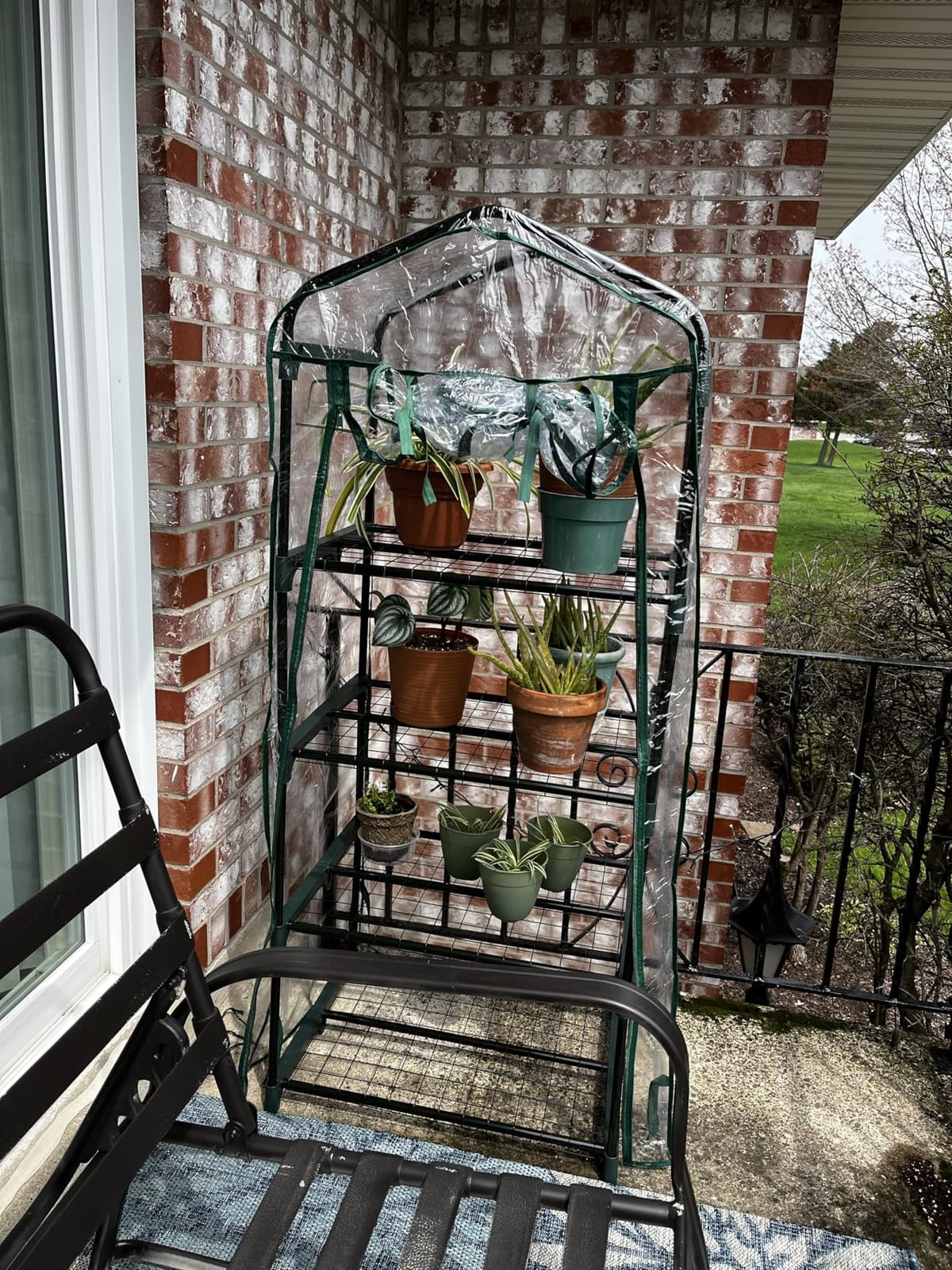 Miracle-Gro Walk-in Greenhouse, Removable Shelves, Clear, 4'8