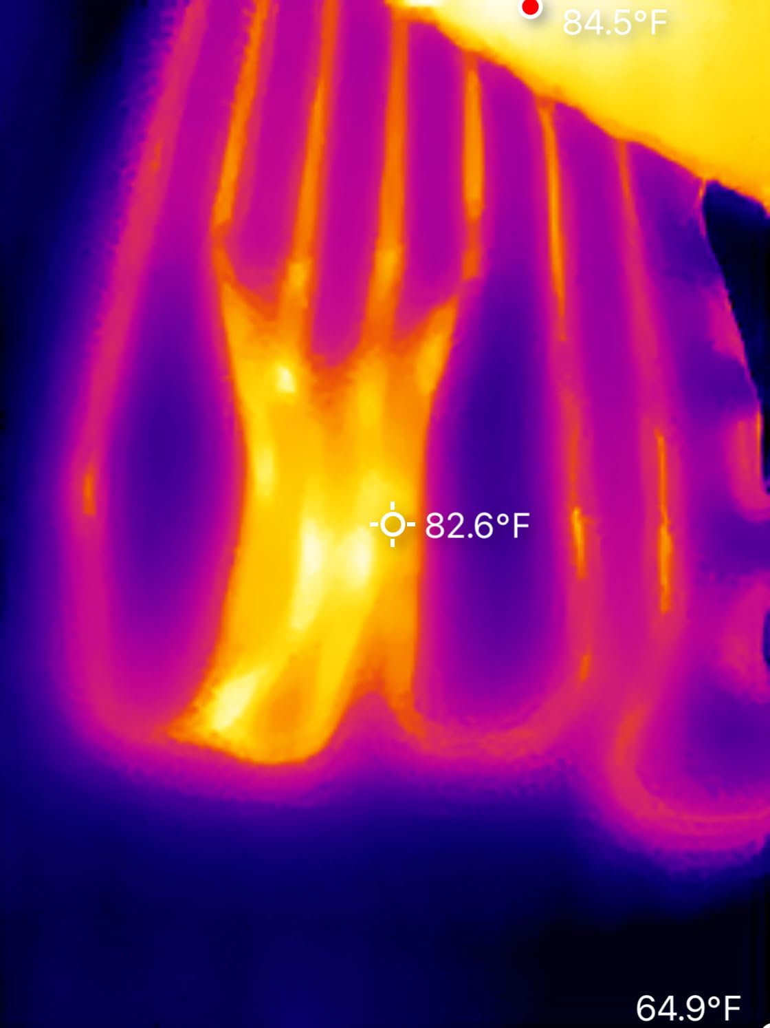 Thermal Master P1 Thermal Camera for USB-C iOS/Android, 320x240 Resolution customer photo 1