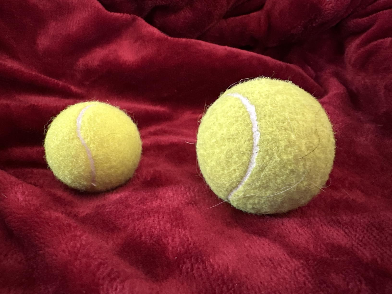Automatic Dog Ball Launcher, with 6 2.3
