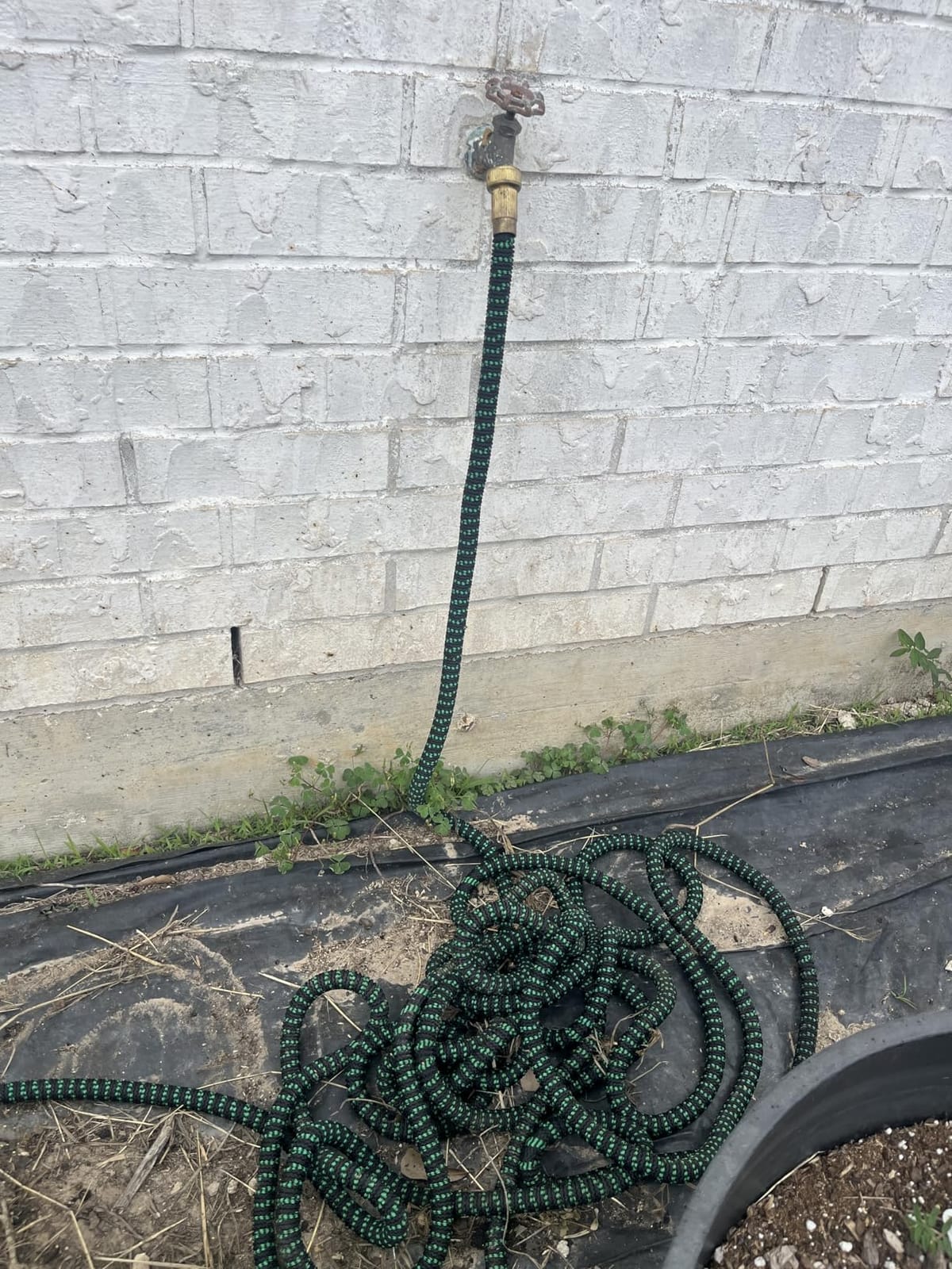 Flexi Hose with 8 Function Nozzle, 50FT - Lightweight Expandable Garden Hose, No-Kink Flexibility, 3/4 Inch Solid Brass Fittings and Double Latex Core - Black and Green customer photo 2
