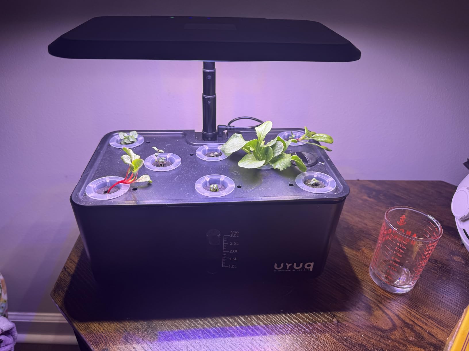 URUQ 8 Pods Hydroponics Growing System with LED Grow Light - Black customer photo 2