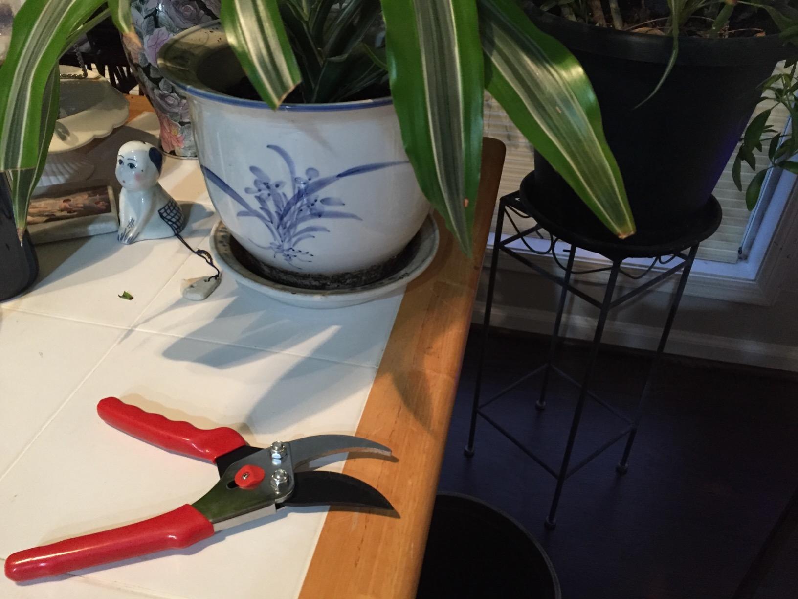FLORA GUARD Heavy Duty Ratchet Pruning Shears, SK5 Steel Garden Clippers customer photo 1