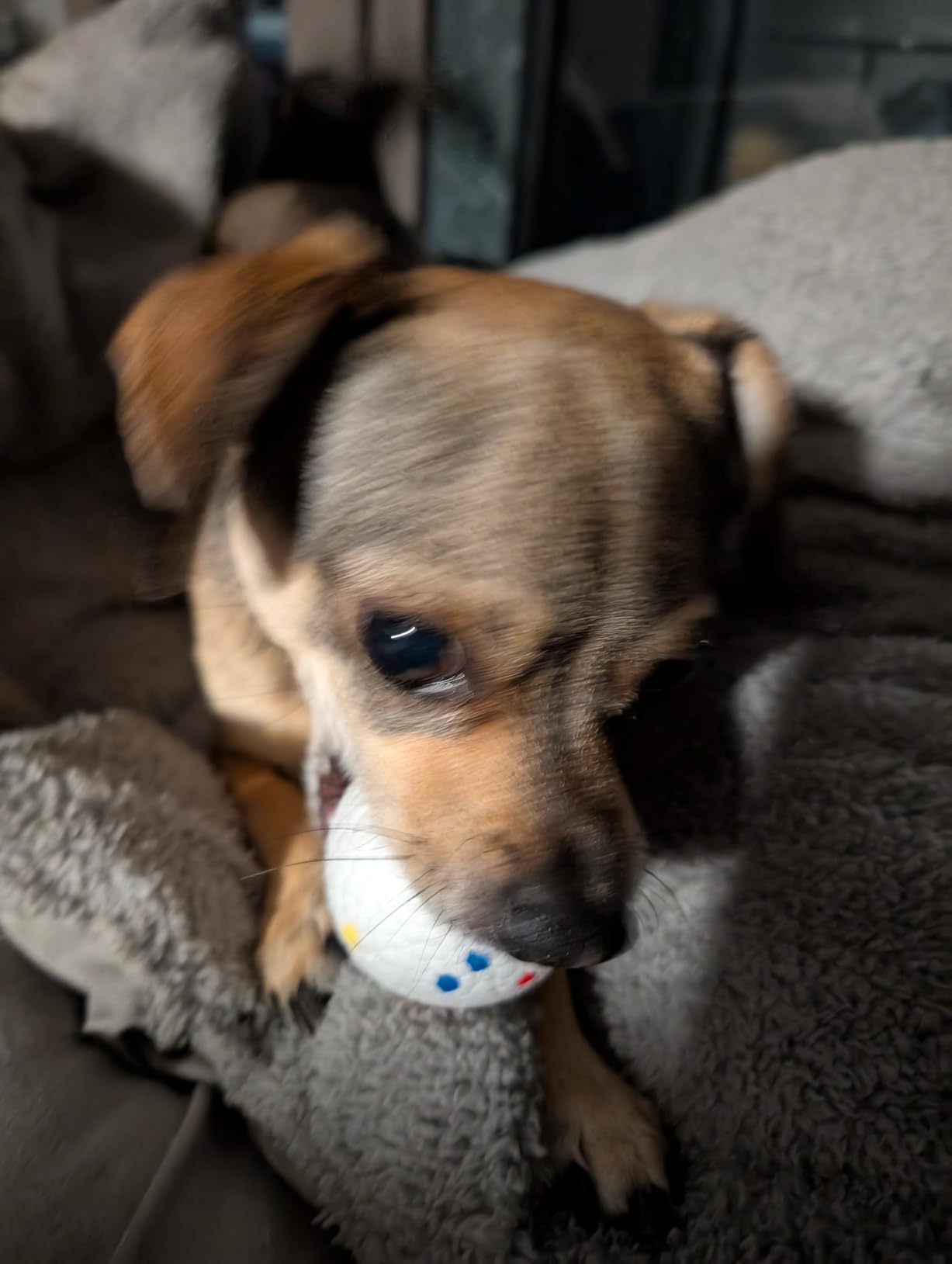 Automatic Dog Ball Launcher, Auto/Manual Paw-Activated Dog Ball Thrower customer photo 2