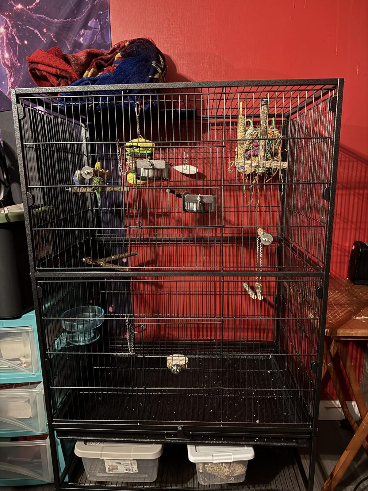 VEVOR Bird Cage, 32.7 x 31.1 x 82.7 inch, Open Flat Top, Wrought Iron Bird Flight Cage with Perches, Slide-Out Tray, Plastic Feeders, for Cockatiel, Monk Parakeet, Amazon Parrot, African Grey Parrot customer photo 2