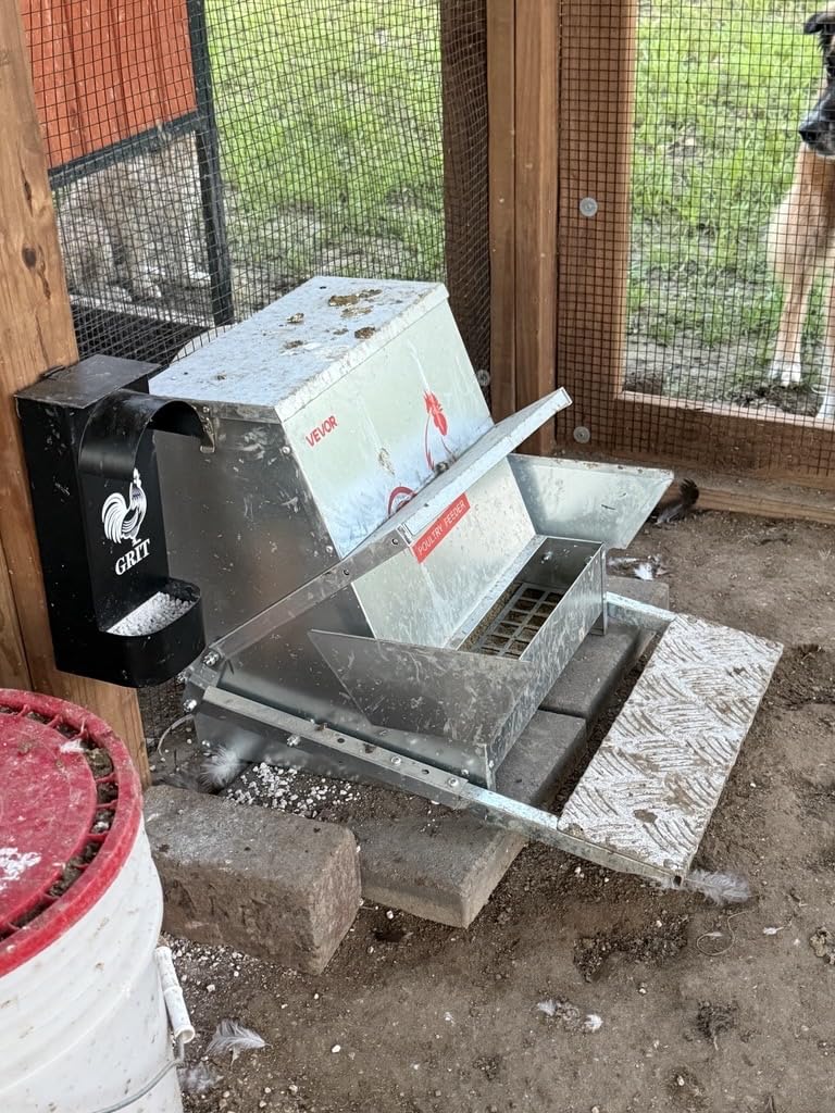 VEVOR Automatic Chicken Feeder, 40 lbs Capacity, Rainproof Treadle Poultry Feeder with Lockable Lid, No Waste, Galvanized Steel Construction, Outdoor Use, for Chicken, Bantams, Poultry, Pheasants customer photo 1