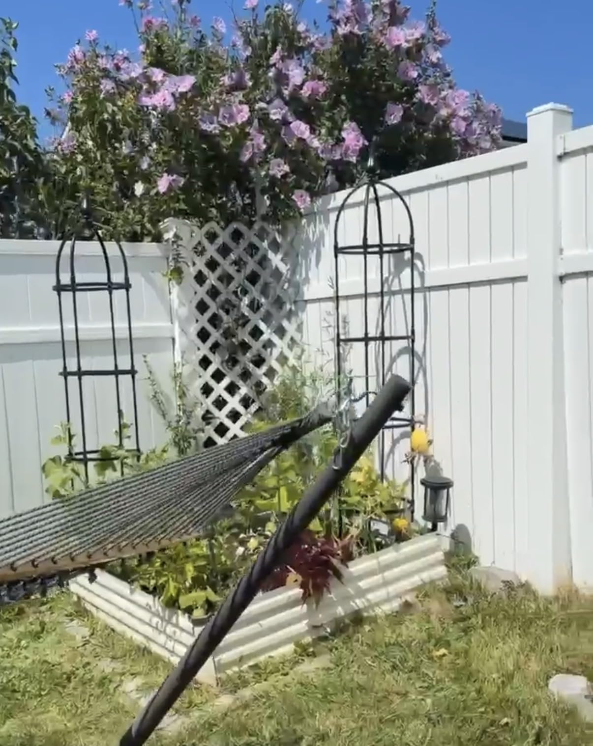Wellsign 100% Metal Garden Obelisk Trellis for Climbing Plants Outdoor customer photo 1