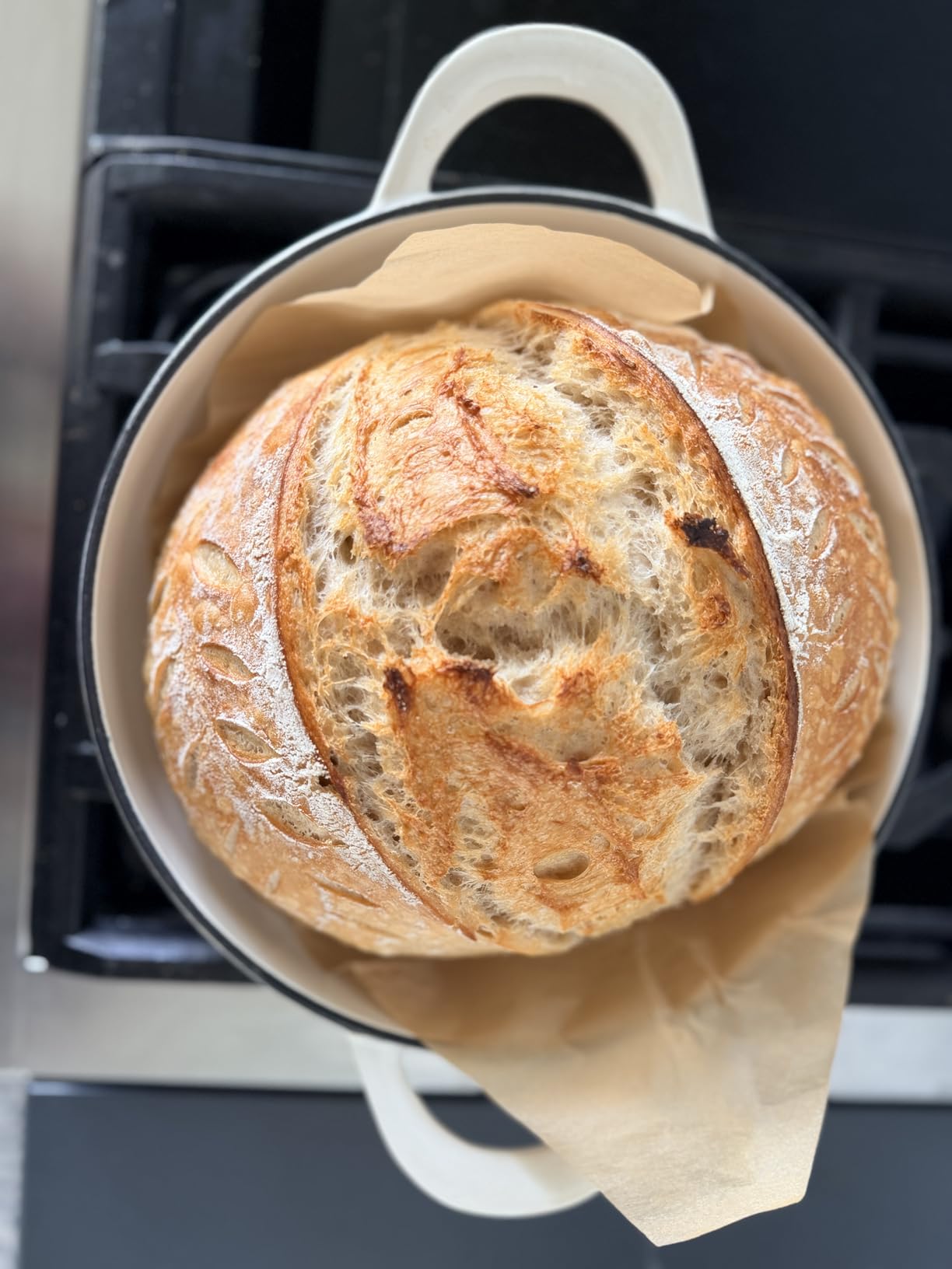 Enameled Cast Iron Dutch Oven for Bread Baking, 6 Qt Sourdough Dutch Oven With Lid, Cast Iron Bread Oven with Dome Lid (Pistachio Green) customer photo 1