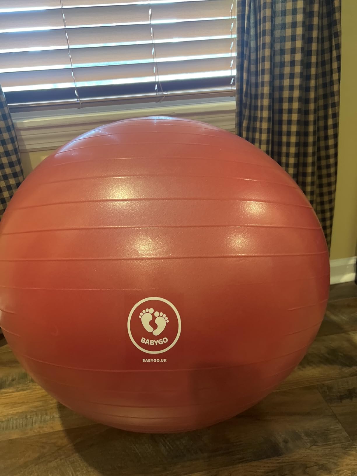 BABYGO Birthing Ball - Pregnancy Yoga Labor & Exercise Ball & Book Set Trimester Targeting, Maternity Physio, Birth & Recovery Plan Included Anti Burst Eco Friendly customer photo 2