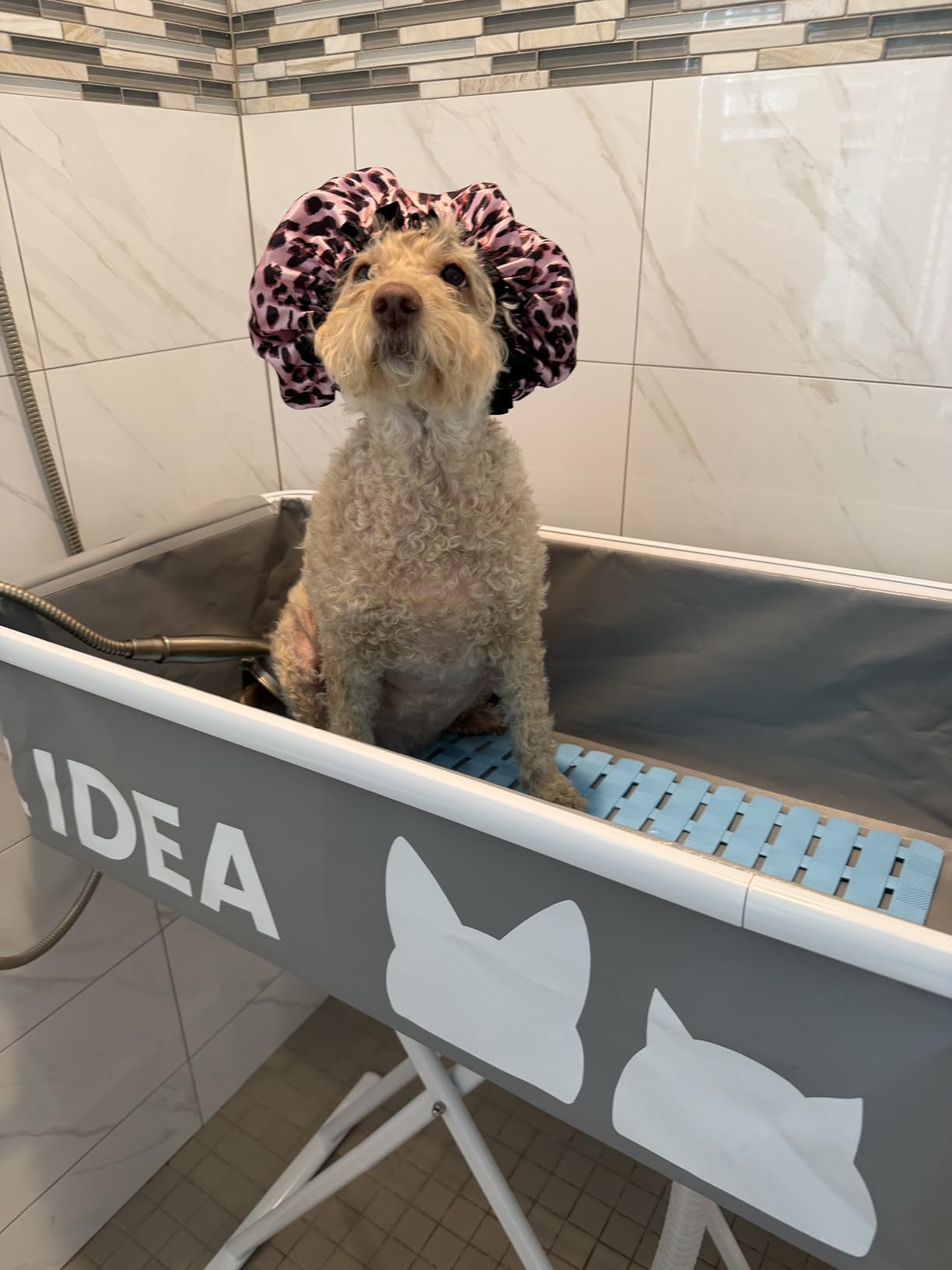 PAWZIDEA 2-in-1 Dog Bathtub & Grooming Table 43