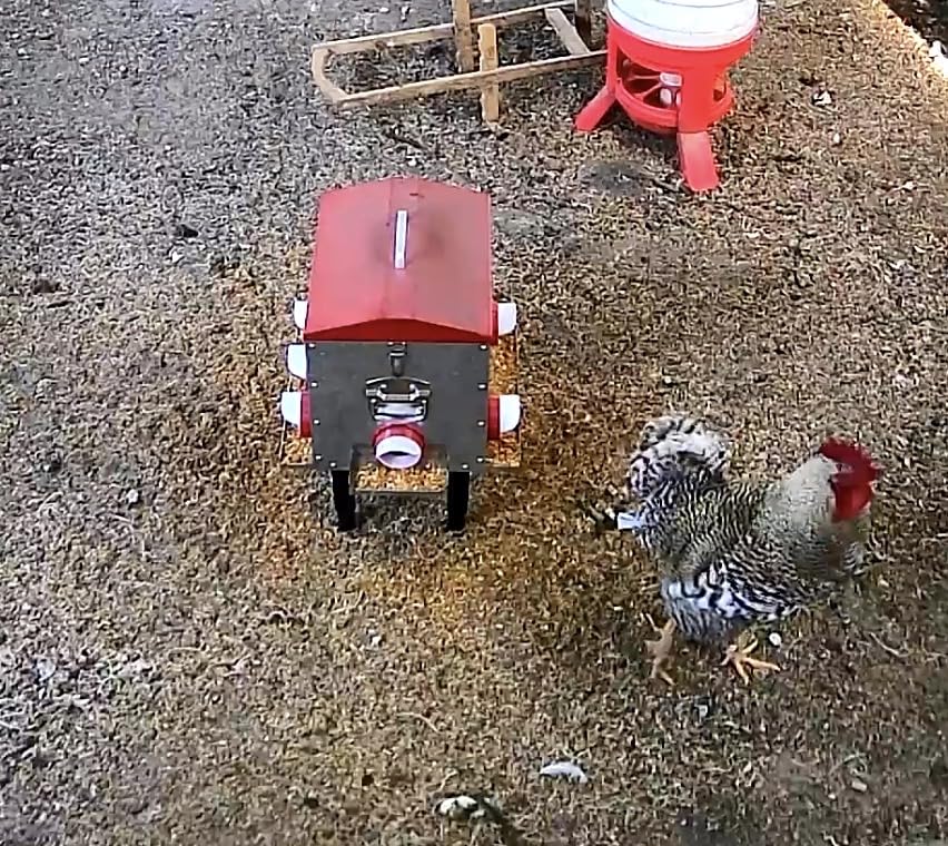Pawaboo 55LBS Large Capacity Automatic Chicken Feeder customer photo 2