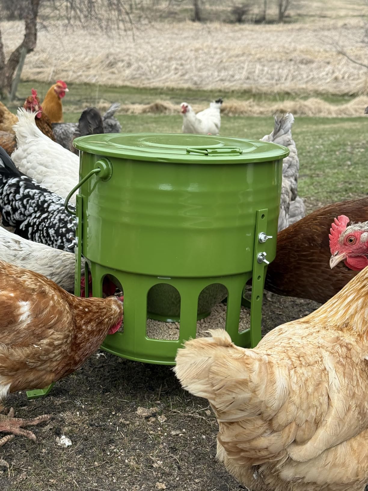Metal Chicken Feeder No Waste - 20LB Large Chicken Feeder with 12 Ports & 4 Adjustable Heights Tripod Stand, Automatic Hanging Poultry Feeder, Rainproof for Backyard Chickens & Small Flocks customer photo 2