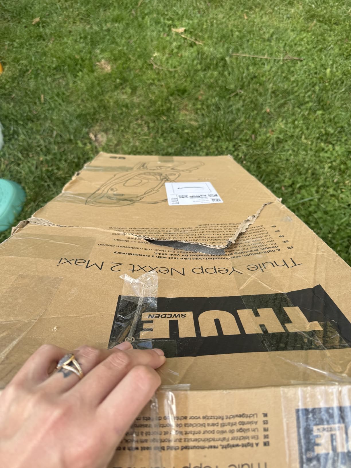 Thule Yepp Nexxt2 Frame Mount Child Bike Seat customer photo 1