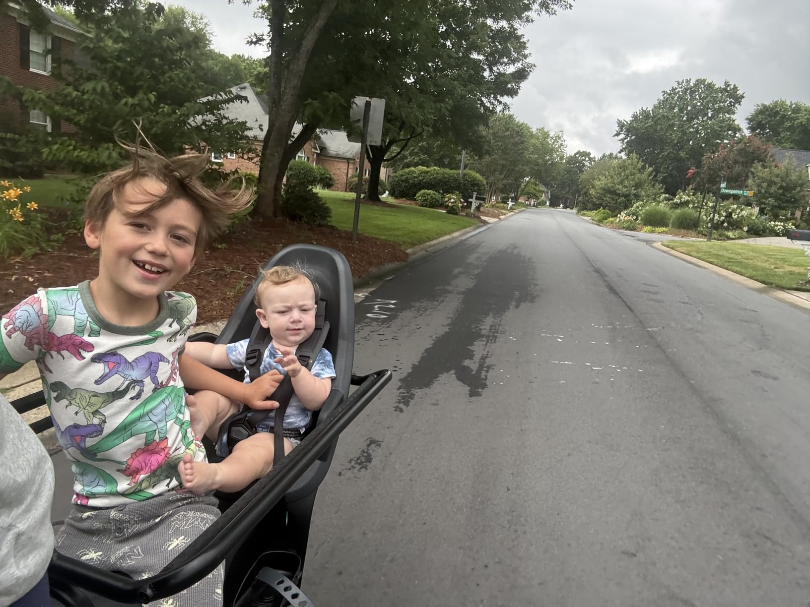 Thule Yepp 2 Mounted Child Bike seat, Adjustable footrests, 5-Point Harness and Easy to Mount Design customer photo 1