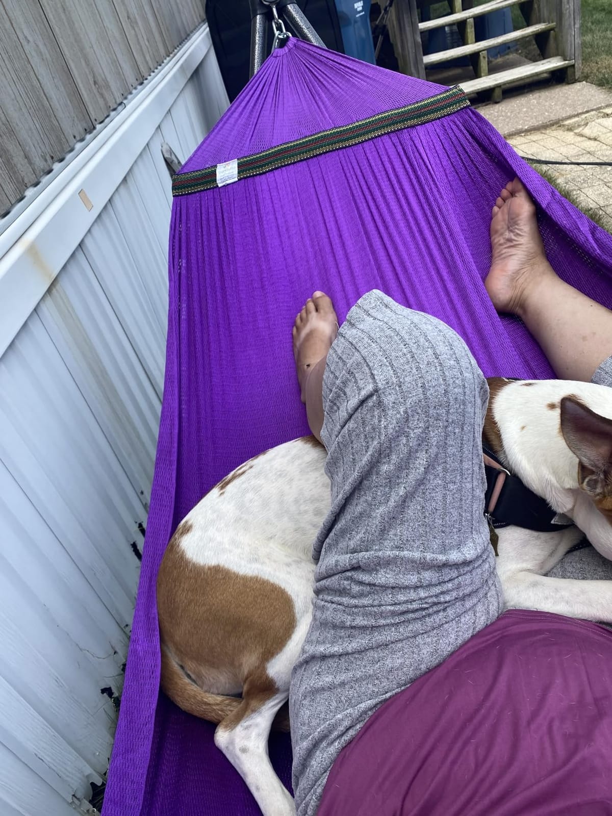 Tranquillo Sturdy Steel Hammock Stand Premium Cotton Canvas Hammock, Sage customer photo 1