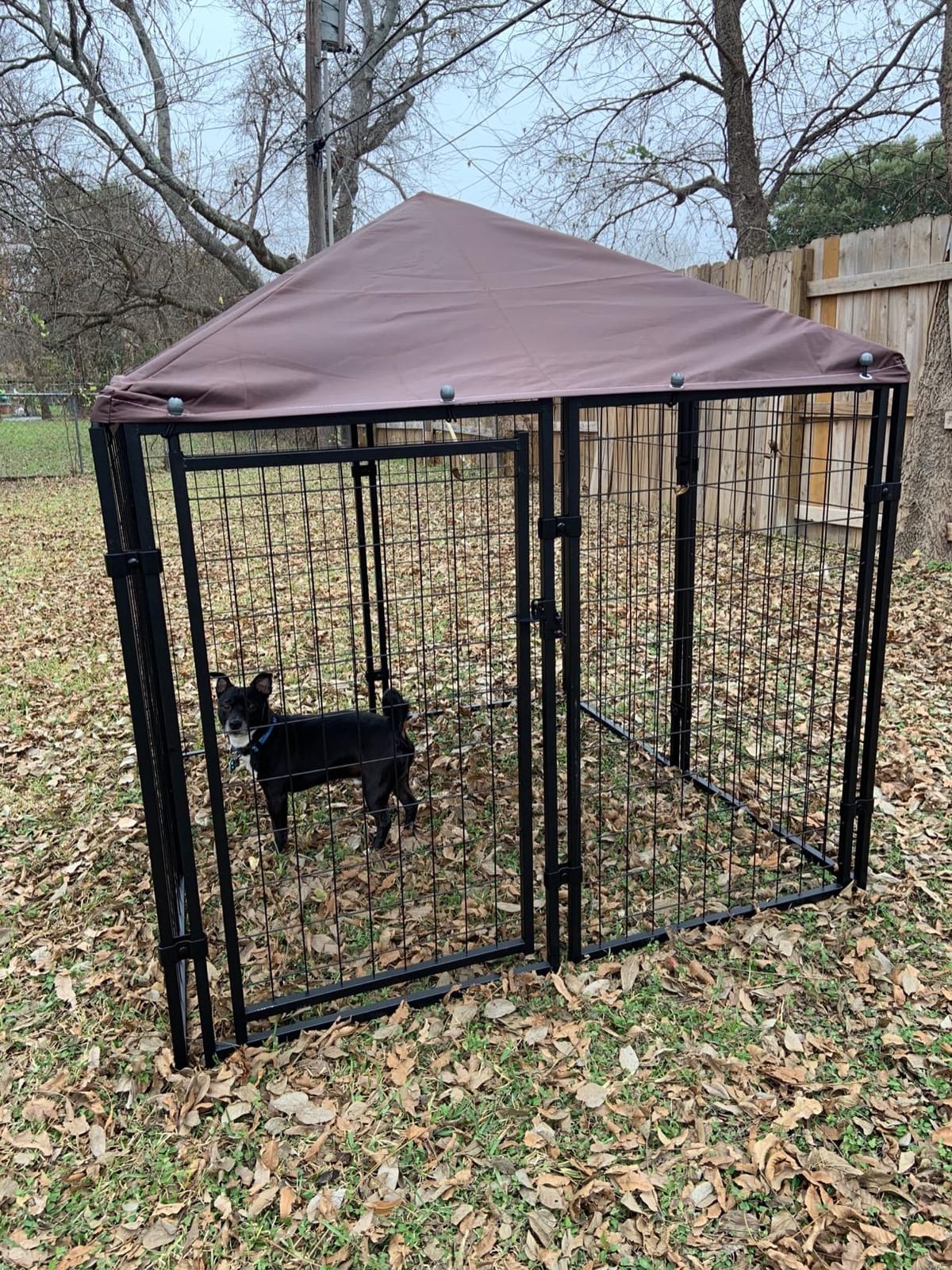 PawHut 4.7' x 4.7' x 5.1' Outdoor Dog Kennel Outside Run S&M Breeds Silver customer photo 2
