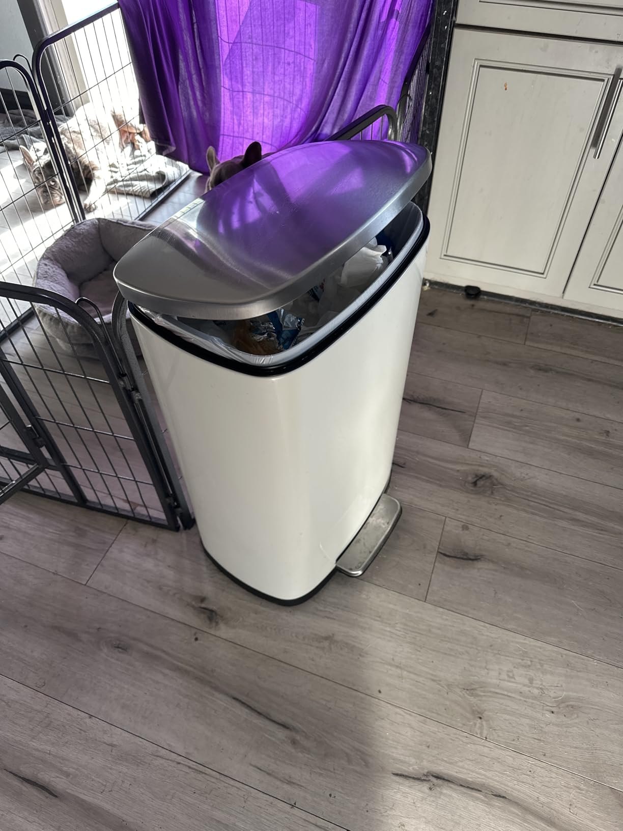 iTouchless SoftStep 16 Gallon Dual Compartment Kitchen Trash Can and Recycle Bin with dual AbsorbX Odor Filters, 60L Stainless Steel Step Garbage Can, Soft-Close Lids, Color-Coded Buckets (Black/Blue) customer photo 2