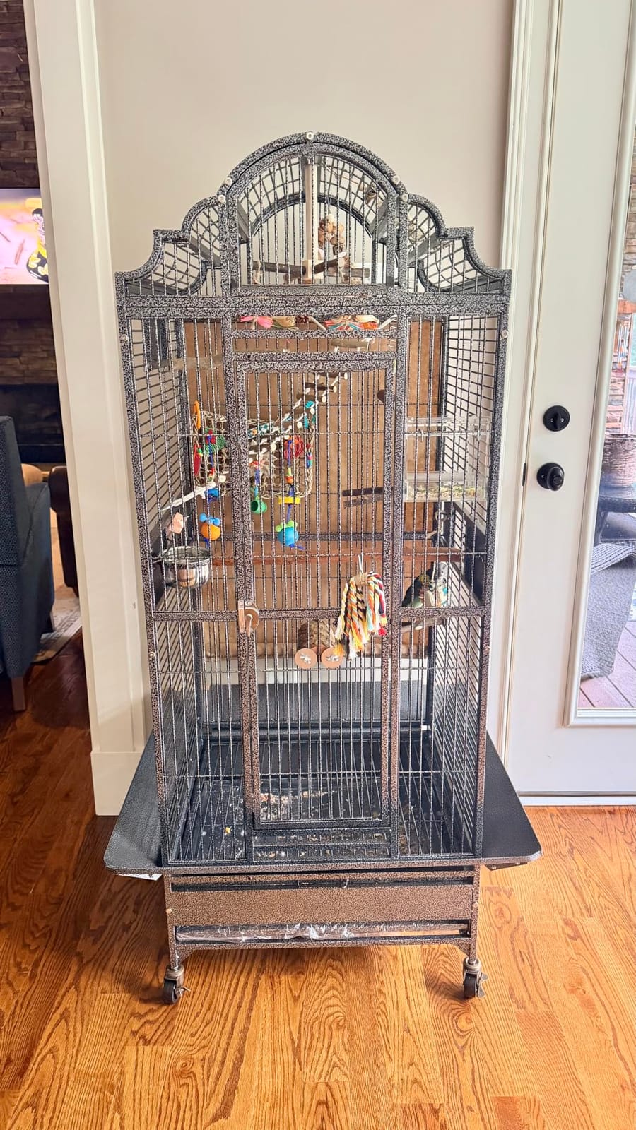 X-Large Elegance and Durable Wrought Iron Open Play Top Stand Bird Parrot Rolling Cage, Include Metal Seed Guard Solid Metal Feeder Nest Door Lockable Heavy Duty Rolling Wheels customer photo 2
