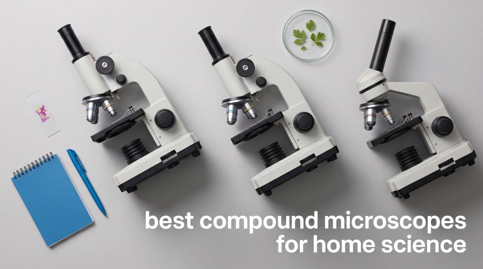 best compound microscopes for home science